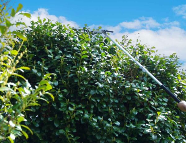 zipper zi-gps252 set mantenimiento jardin